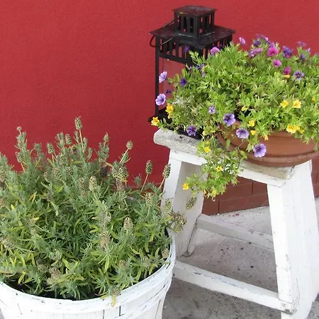 B&B La Zanzara Adria