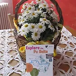 Panzió La Zanzara Adria